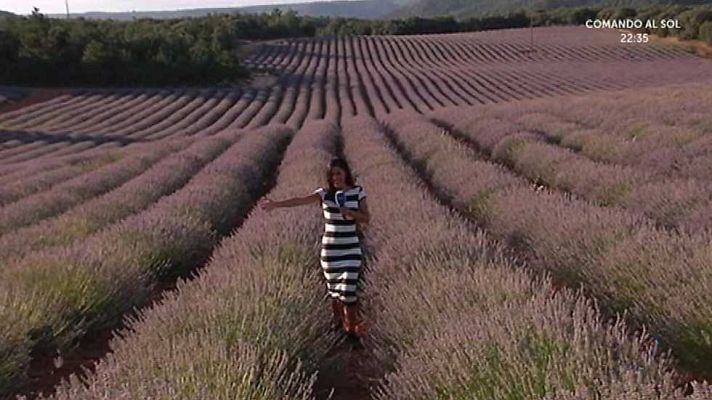 España Directo - España Directo - 03/08/16