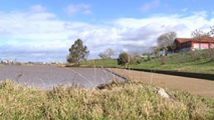 Denuncian que una cadena de errores causó la muerte de un hombre al que disparó un preso