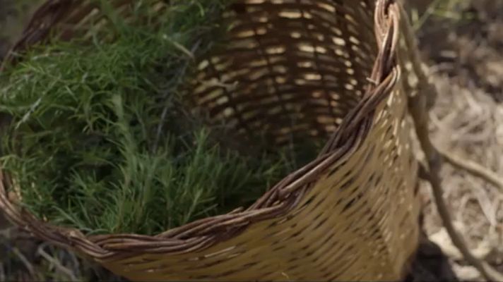 Red Natura 2000 - La Sierra de Espadán, en Castellón - avance