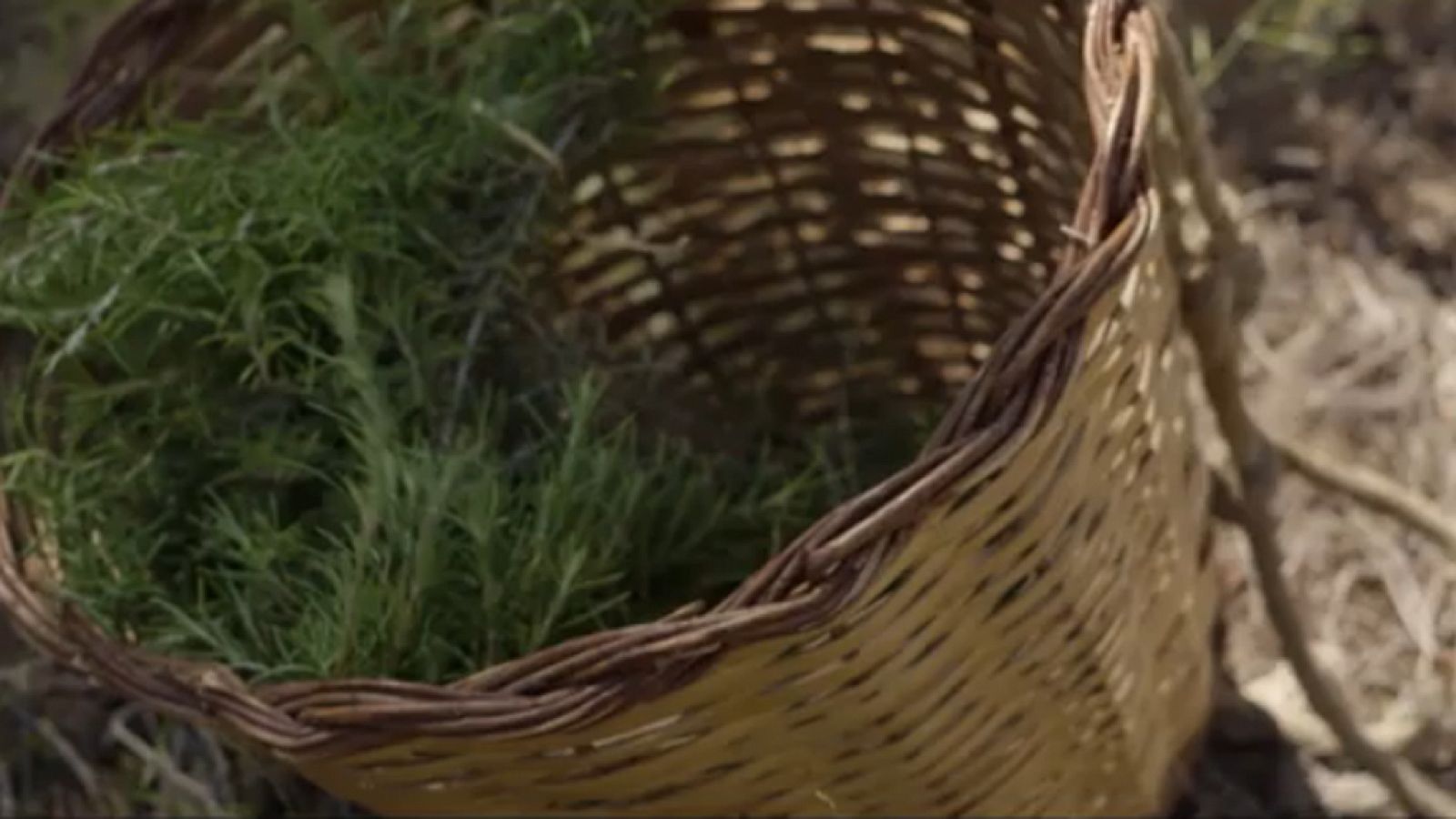  La Sierra de Espadán, en Castellón - avance