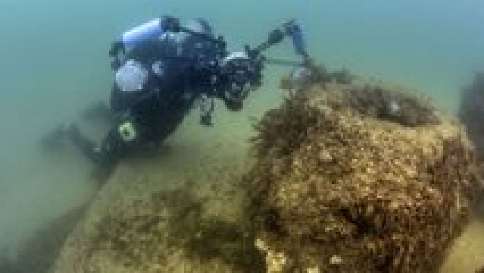 L'Informatiu - Comunitat Valenciana - 04/08/16 - ver ahora