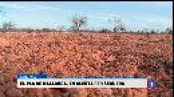 Informatiu Balear - Informatiu Balear - 04/08/16