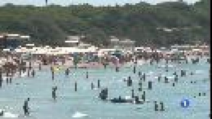 Informatiu Balear - Saturació a les platges eivissenques