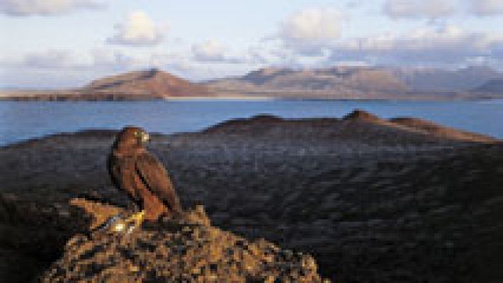 El tiempo - Suben los termómetros en Canarias y bajan algo en el resto