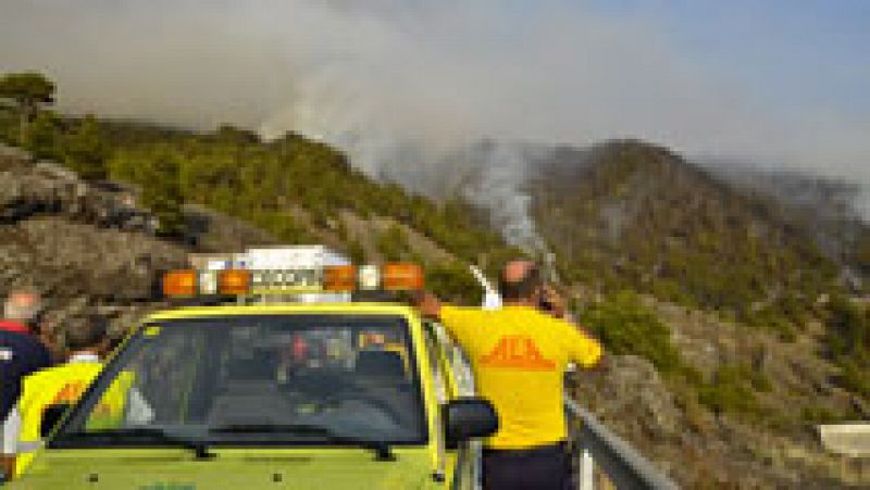 Muere un agente forestal en las tareas de extinción del incendio de La Palma que afecta a casi 2.000 hectáreas