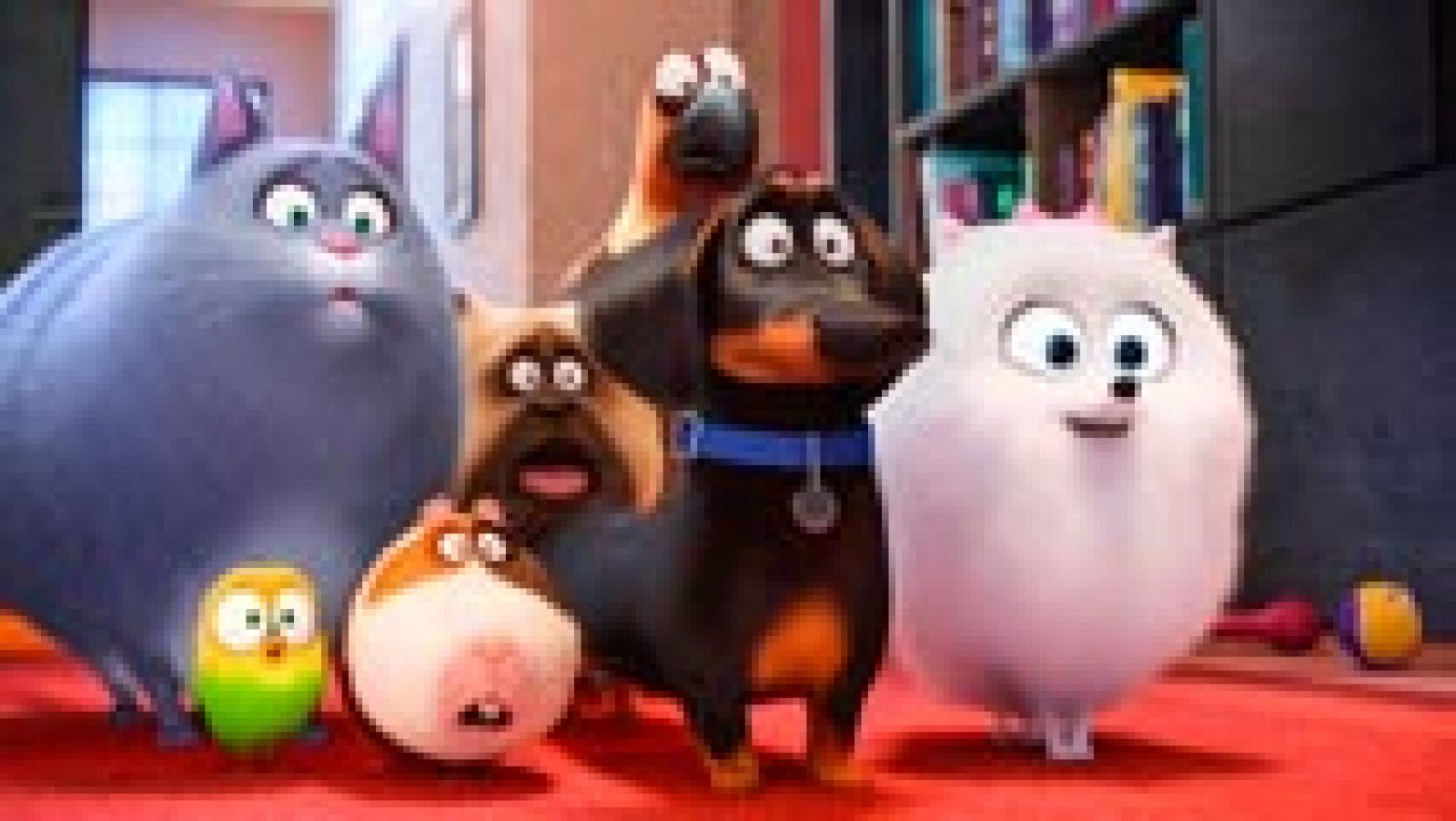 Días de cine: 'Mascotas' | RTVE Play
