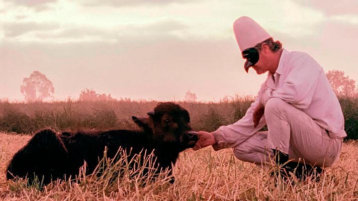 Días de cine - 'Bella y perdida'