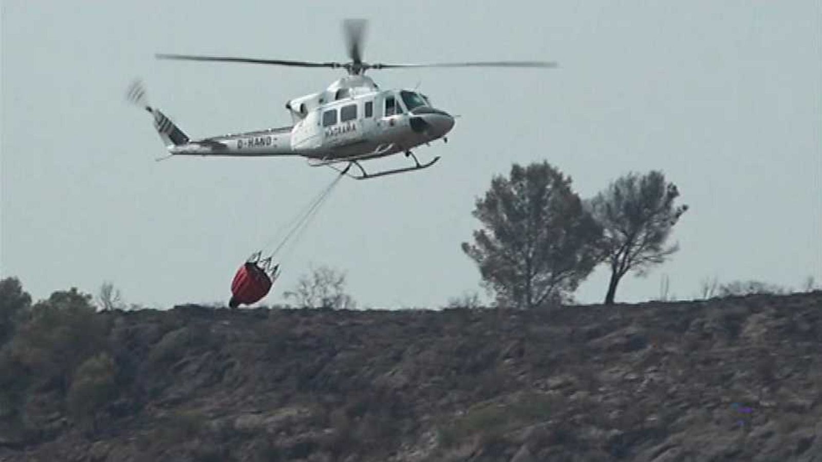 L'Informatiu - Comunitat Valenciana - 05/08/16 - ver ahora