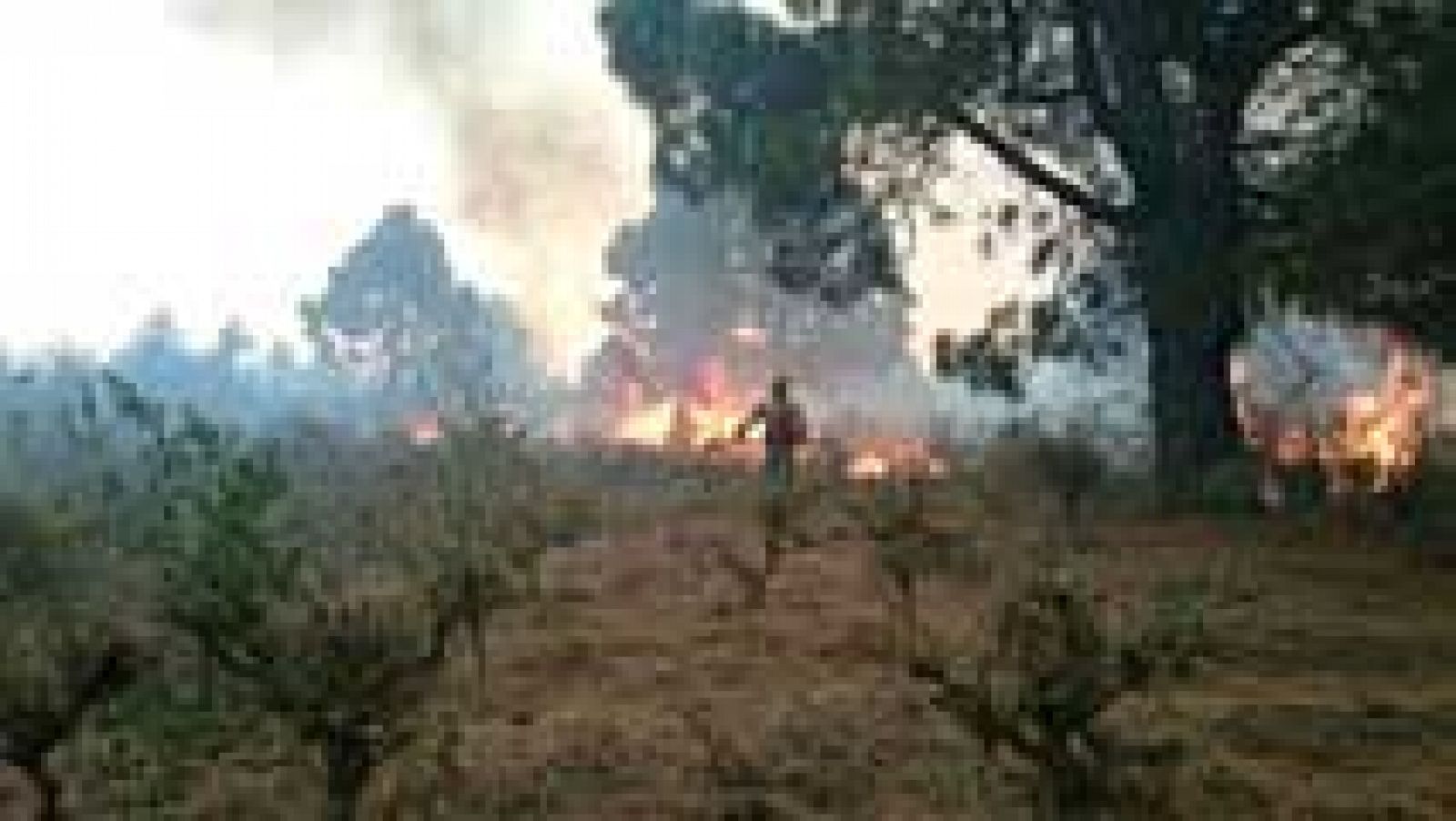 Telediario 1: El incendio de La Palma ha arrasado más de 3.000 hectáreas y obligado a desalojar a 2.500 personas | RTVE Play