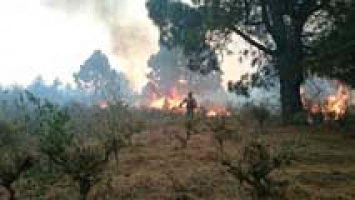 El incendio de La Palma ha arrasado más de 3.000 hectáreas y obligado a desalojar a 2.500 personas