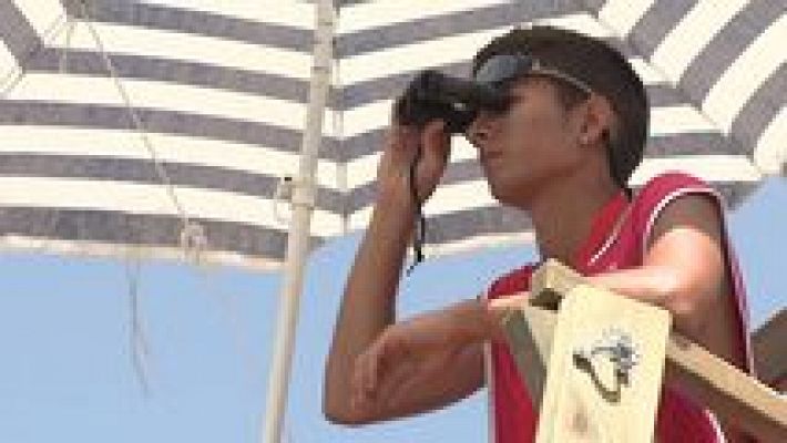 L'informatiu - Comunitat Valenciana - L'Informatiu - Comunitat Valenciana 2 - 05/08/16