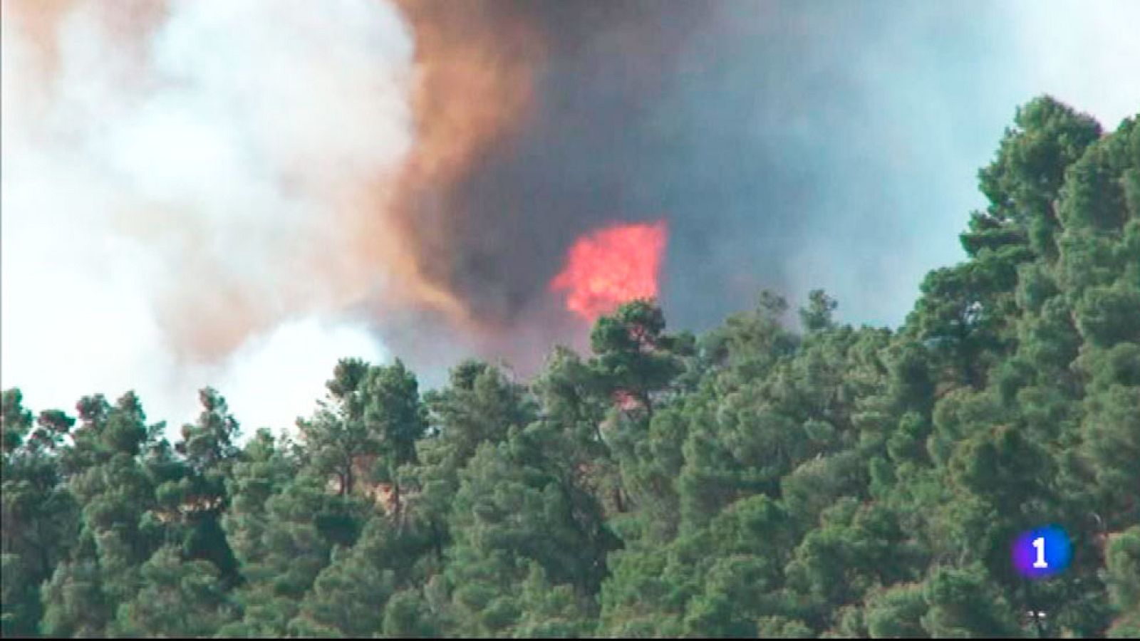 L'Informatiu en 3' - 8/08/2016