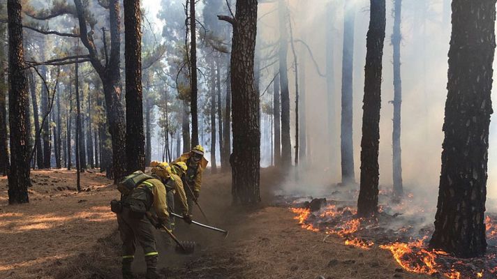 Telediario 1 - Estabilizado el incendio de La Palma en todos sus frentes mientras vuelven a casa los últimos desalojados