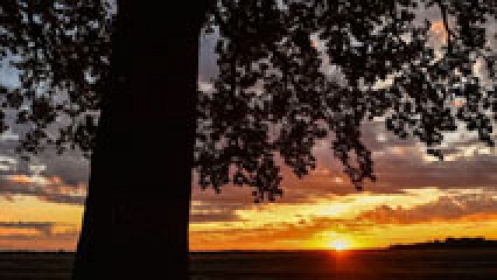 El tiempo - El calor activa la alerta en Canarias, Extremadura y Andalucía