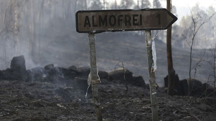 Informativo 24h - Varios incendios azotan el sur de Galicia y queman más de 350 hectáreas en la provincia de Pontevedra