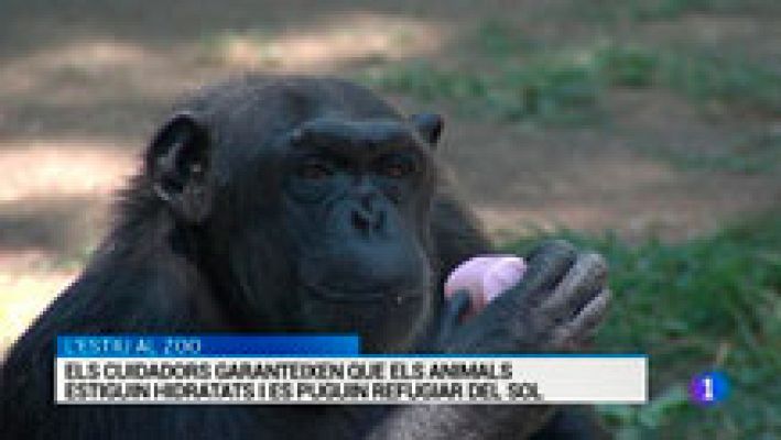 L'Informatiu - L'Informatiu - 09/08/2016