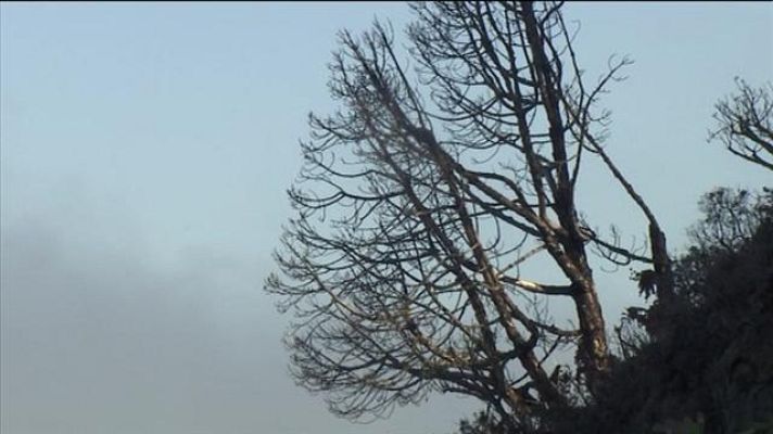 Telecanarias - Canarias en 2' - 09/08/2016