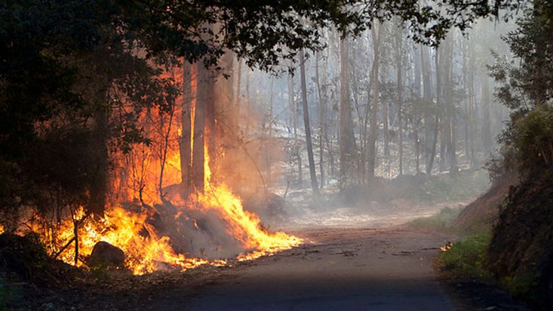Ha habido siete incendios importantes se han quemado más de 1.200 hectáreas en Galicia