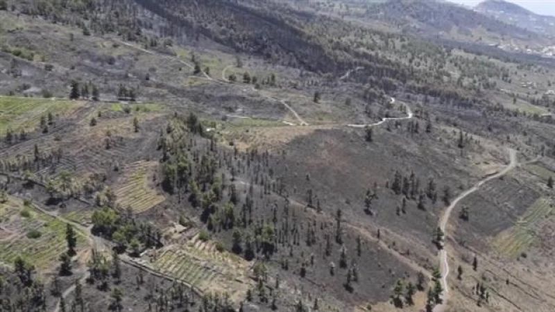 Canarias en 2' - 10/08/2016 