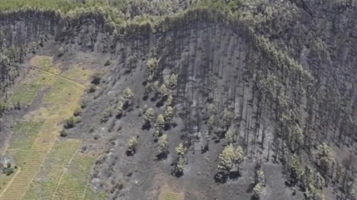 Telecanarias - Telecanarias - 10/08/2016