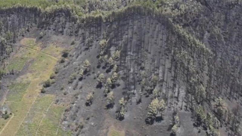 Telecanarias - 10/08/2016 