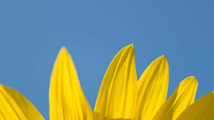 El tiempo - Altas temperaturas, fuertes vientos y oleaje