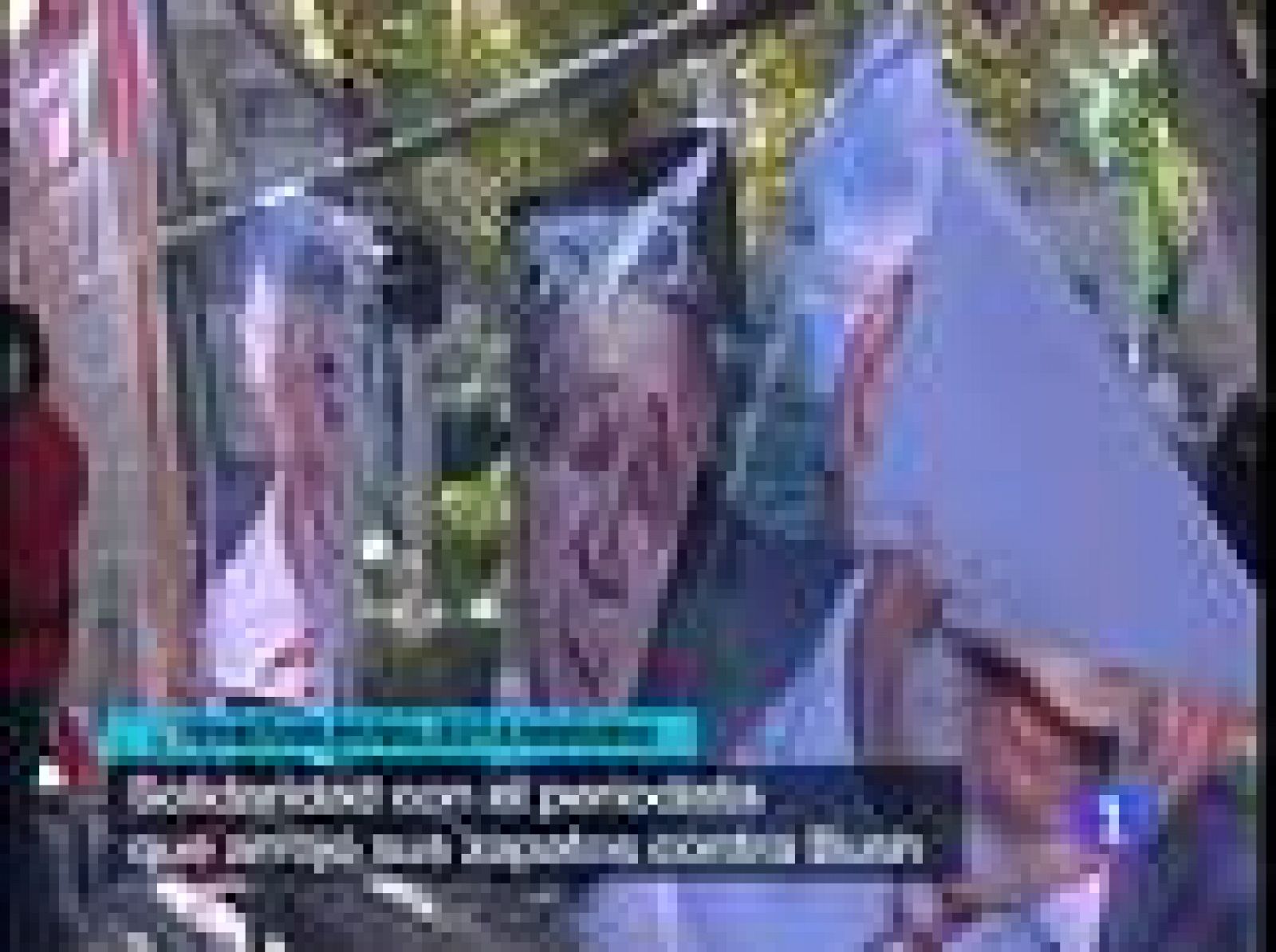 Lluvia de zapatos contra Bush en Irán | Ver