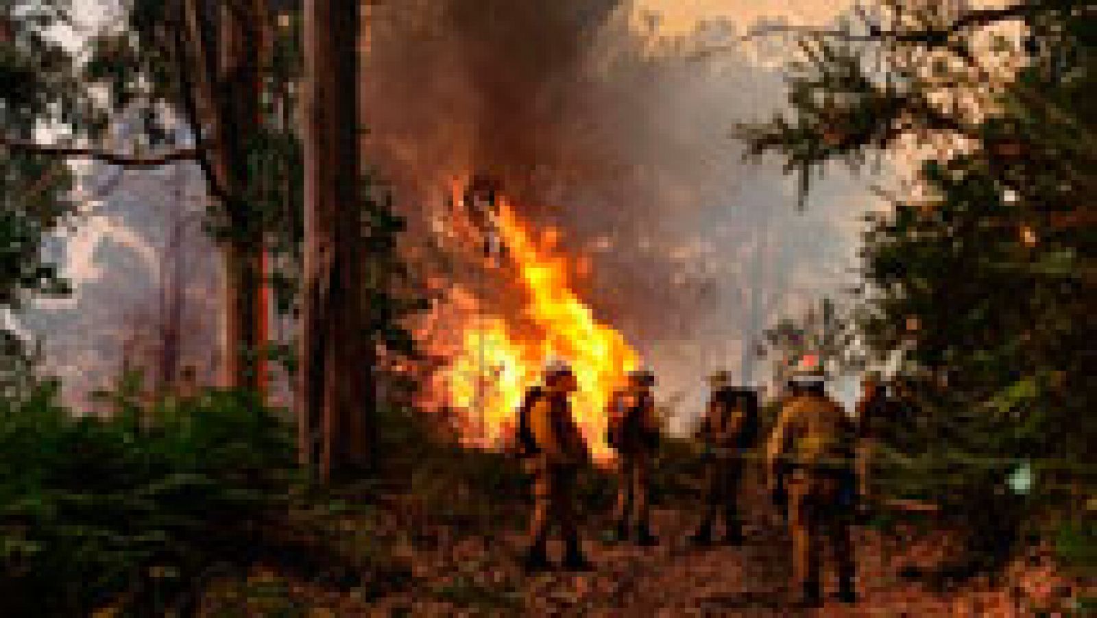 Telediario 1: El incendio de Madeira sigue activo pero ya está bajo control | RTVE Play