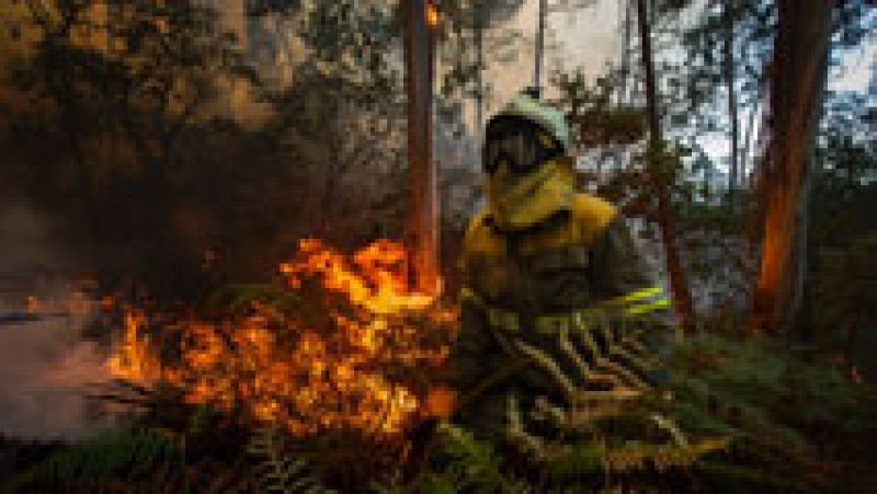 Cuatro incendios sin control preocupan en Galicia por estar cerca de núcleos de población