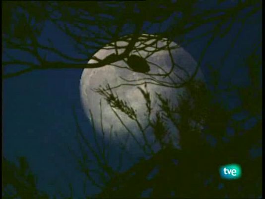 Jara y sedal - Rececho en la cima