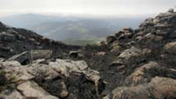 Telediario 1 - Mejora la situación de los incendios en Galicia