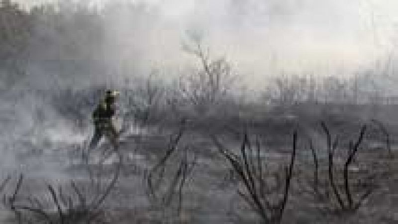 Los montes gallegos van recuperando la calma tras los incendios