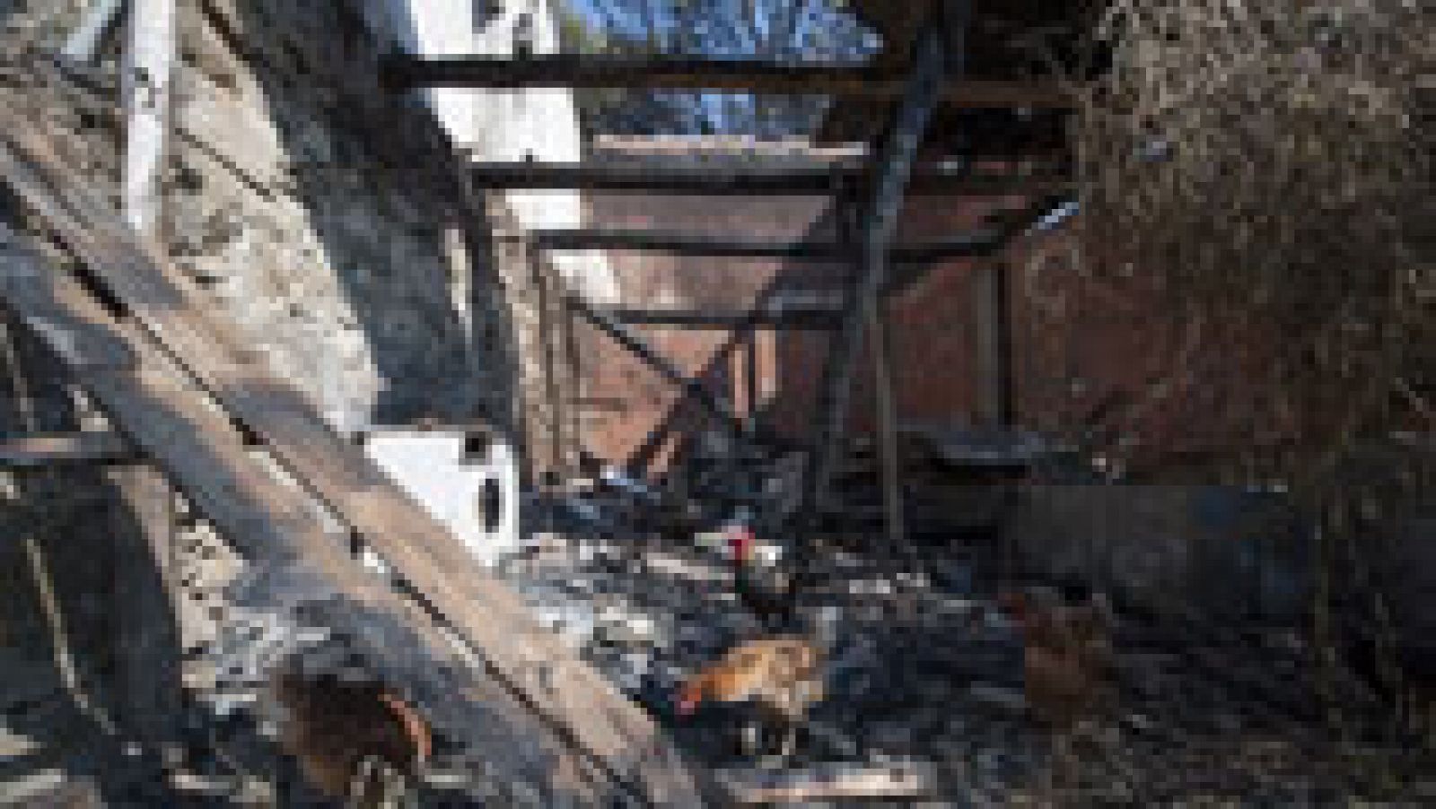 Telediario 1: El incendio de Pobra de Trives, en Ourense, alcanza una vivienda familiar sin causar daños personales | RTVE Play