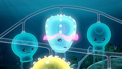 The siphonophore - Los Octonautas en inglés | Watch