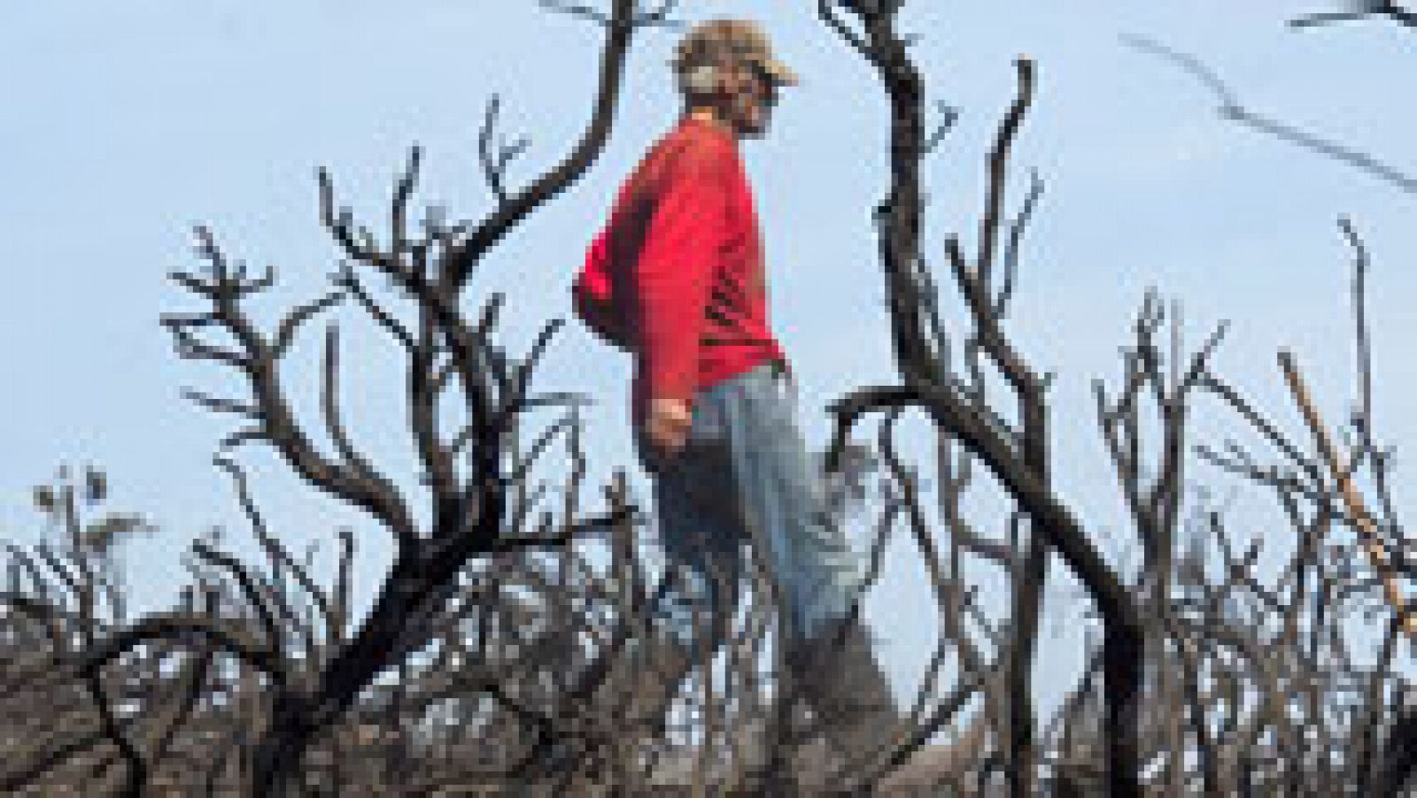 La situación de los incendios en Galicia ha mejorado bastante y a esta hora no hay ninguno fuera de control