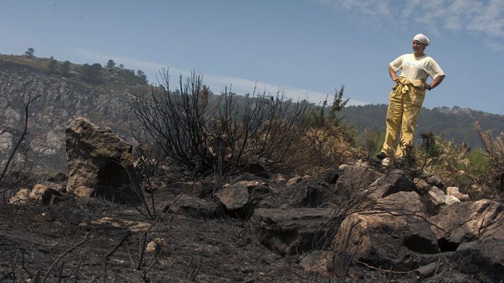 Telediario 1 - El fuego concede una tregua a Galicia aunque sigue la lucha contra un incendio en Lalín, en Pontevedra