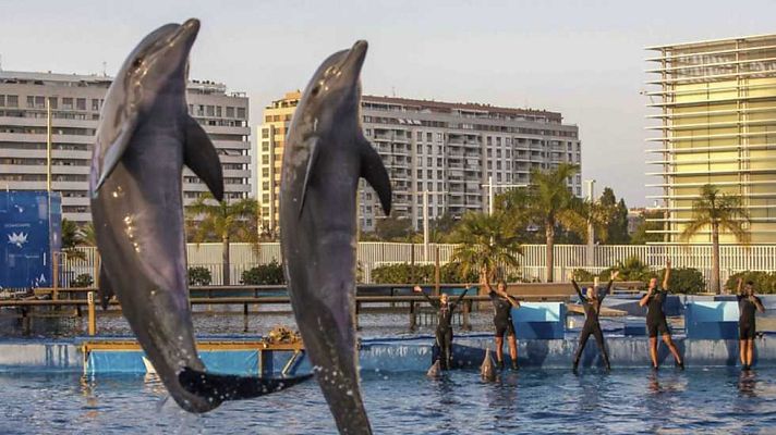 España en 24h - España en 24 horas - 19/08/16