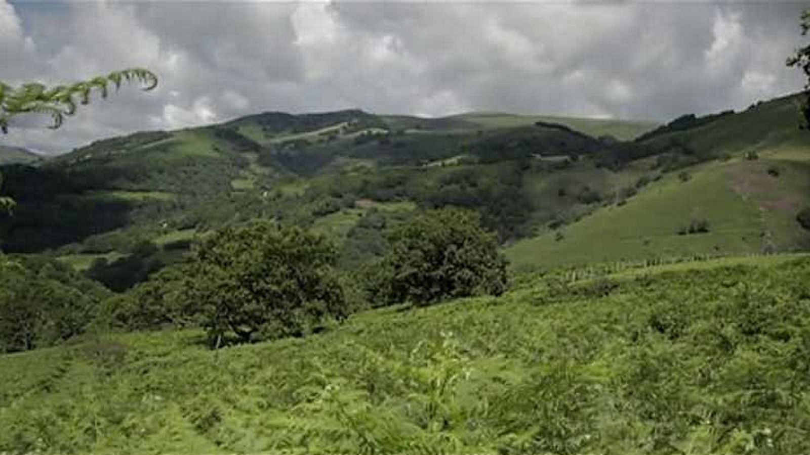 Red Natura 2000 - Programa 25 - ver ahora