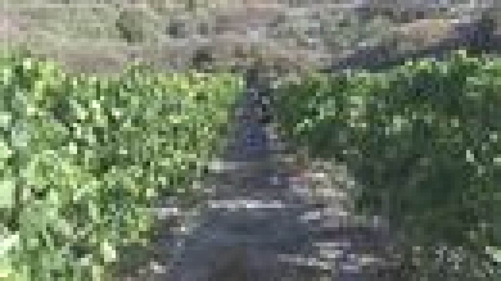 Canarias en 2' - 21/08/2016