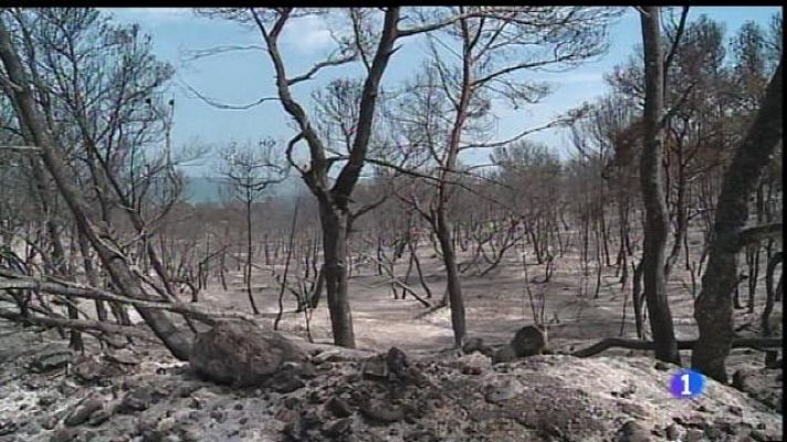 Informatiu Balear - El polèmic incendi d'Artà