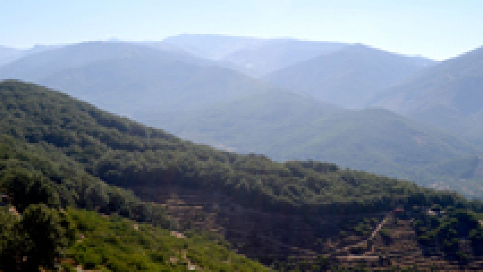 Telediario 1: El incendio del valle del Jerte, estabilizado tras arrasar unas 900 hectáreas | RTVE Play