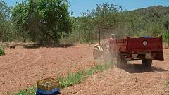 Red Natura 2000 - Historias: Jordi Serra, agricultor ecológico