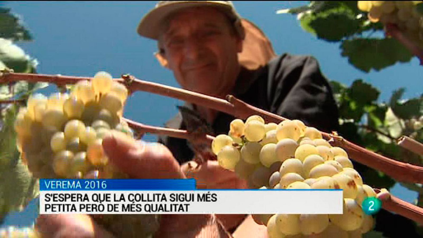 L'Informatiu vespre - 22/08/16