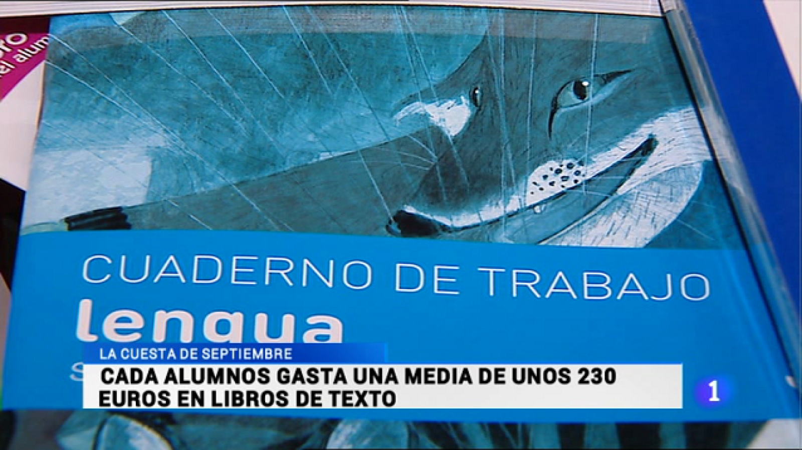 Informativo Telerioja 2 - 23/08/16