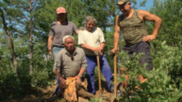 El oro negro de la sierra de Burgos