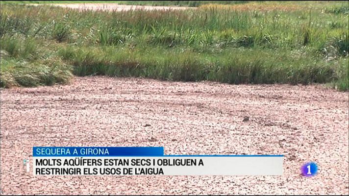 L'Informatiu - L'Informatiu - 24/08/2016