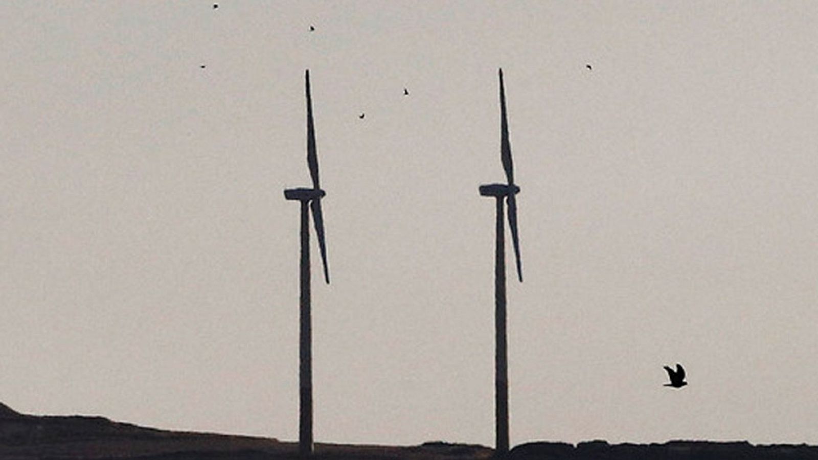 Viento fuerte en Cádiz y Estrecho, y temperaturas altas en el interior