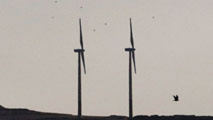 El tiempo - Persiste el viento con rachas muy fuertes en Cádiz y el Estrecho