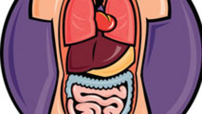 Saber Vivir - Digestión, hígado y vesícula