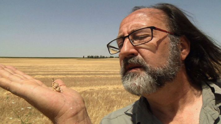 Aquí la Tierra - Luismi y el equilibrio de la vida